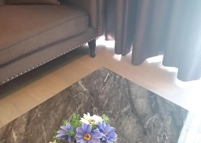 Dazzle Appart hôtel 4*